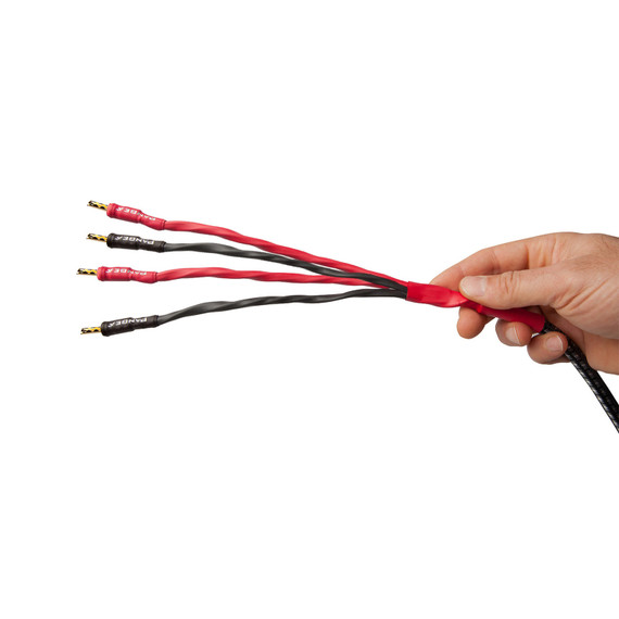 AudioQuest Type 8 Speaker Cable - PREMIUM No Frills Termination - 12 Foot Pair - Bi-Wire Bananas to Spades