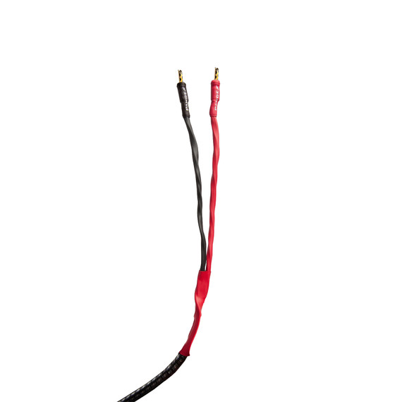 AudioQuest Type 8 Speaker Cable - PREMIUM No Frills Termination - 30 Foot Pair - Spades to Bananas