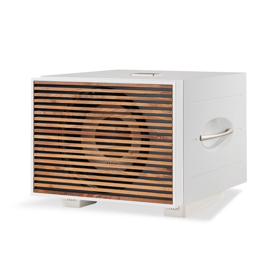 Angle of REL Acoustics S 850 Grille