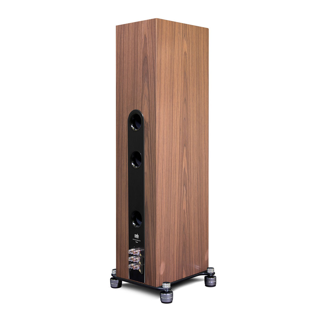 Back of PSB Synchrony T600 Premium Tower Speaker
