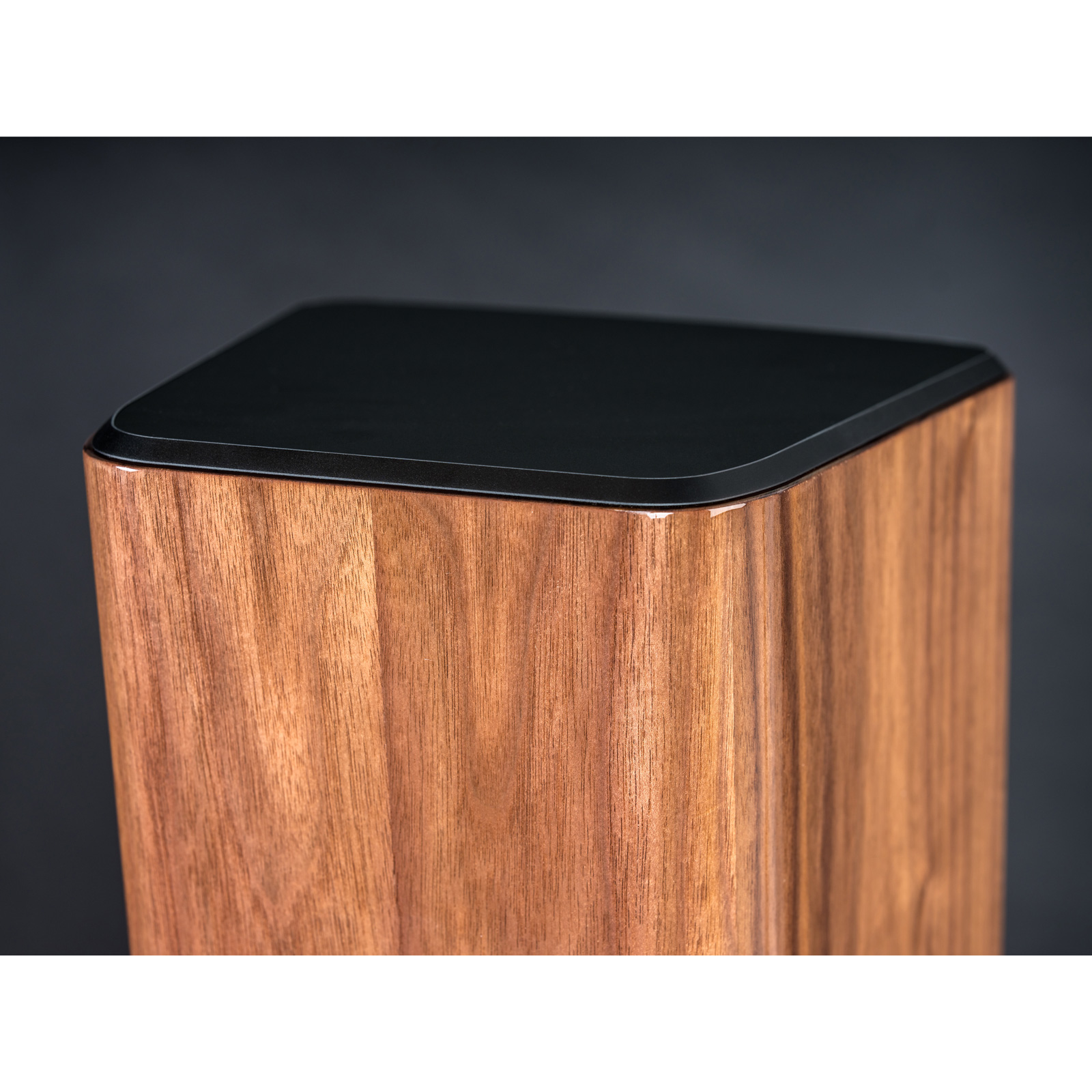 Upper of ELAC VELA Series FS409 Floorstanding Speaker