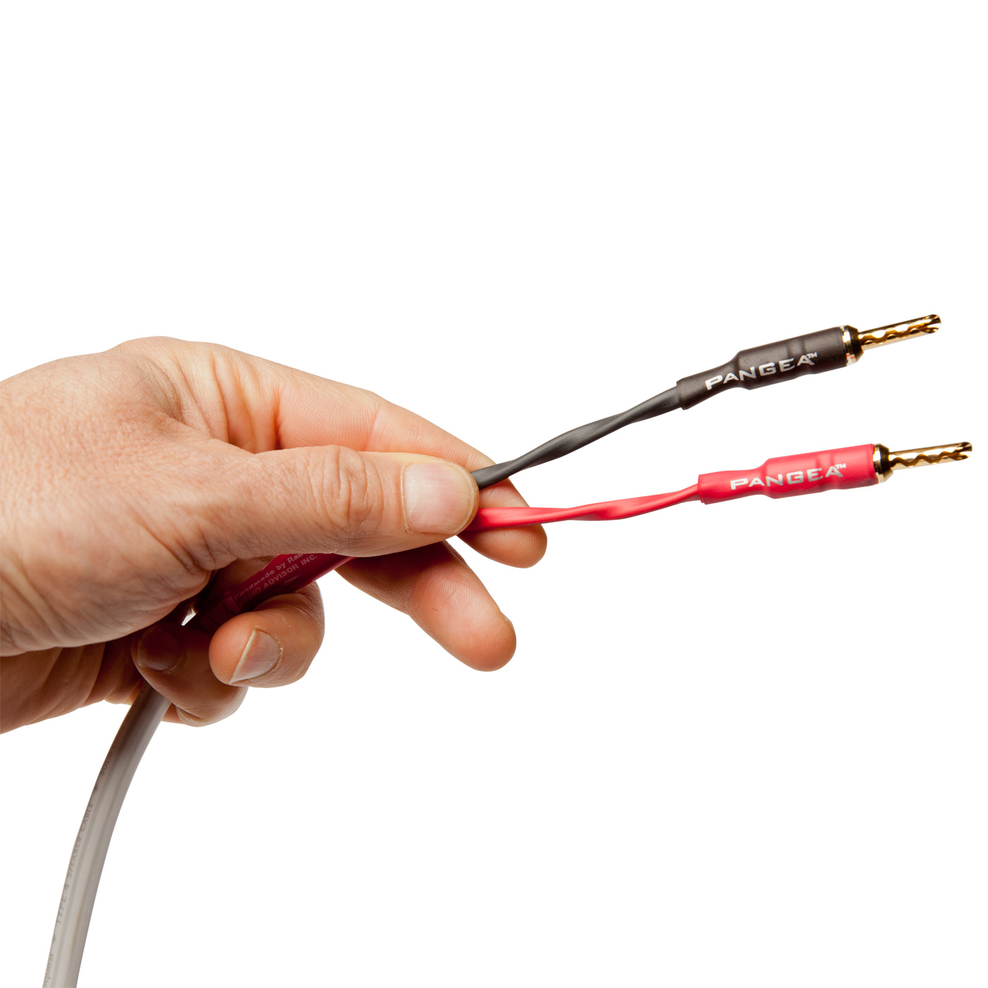 AudioQuest Type 4 Speaker Cable - PREMIUM No Frills Termination - 6 Foot Single - Bananas to Bananas