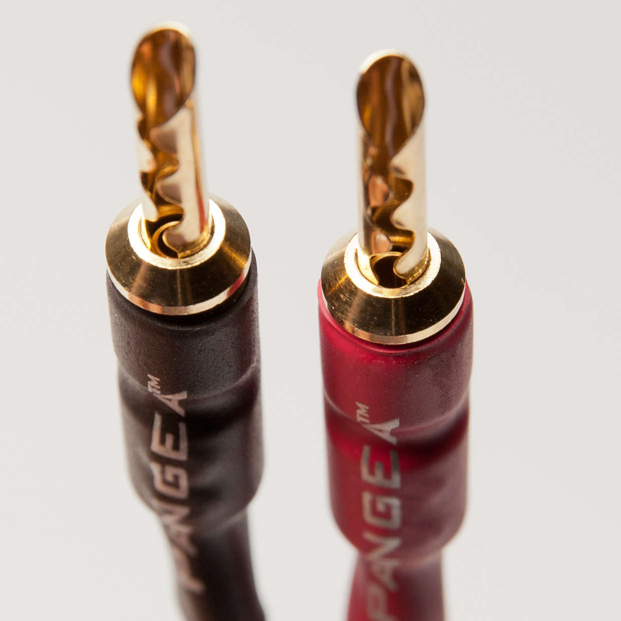 AudioQuest Type 4 Speaker Cable - PREMIUM No Frills Termination - 6 Foot Single - Spades to Bananas