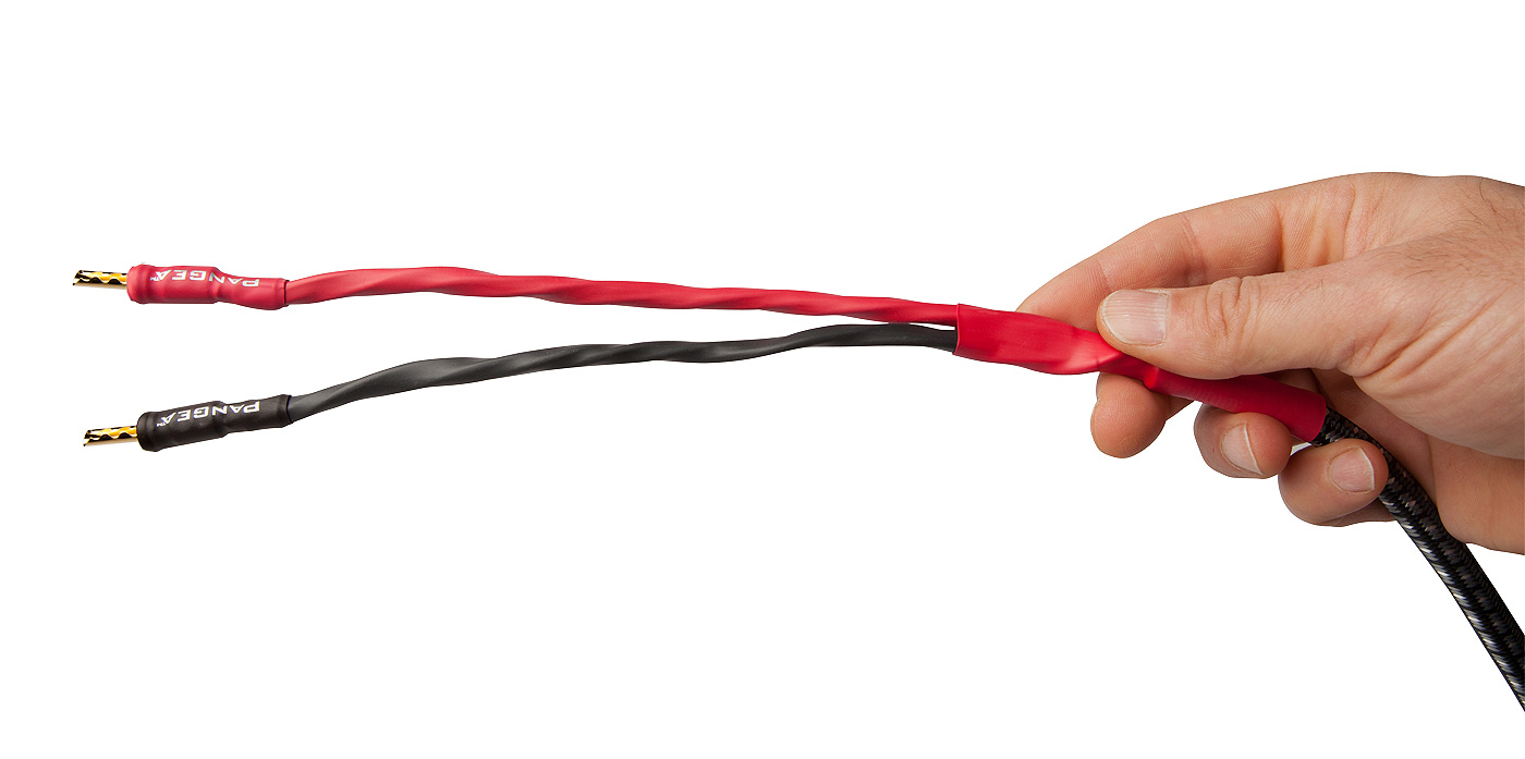 AudioQuest Type 8 Speaker Cable - PREMIUM No Frills Termination - 10 Foot Pair - Bananas to Spades