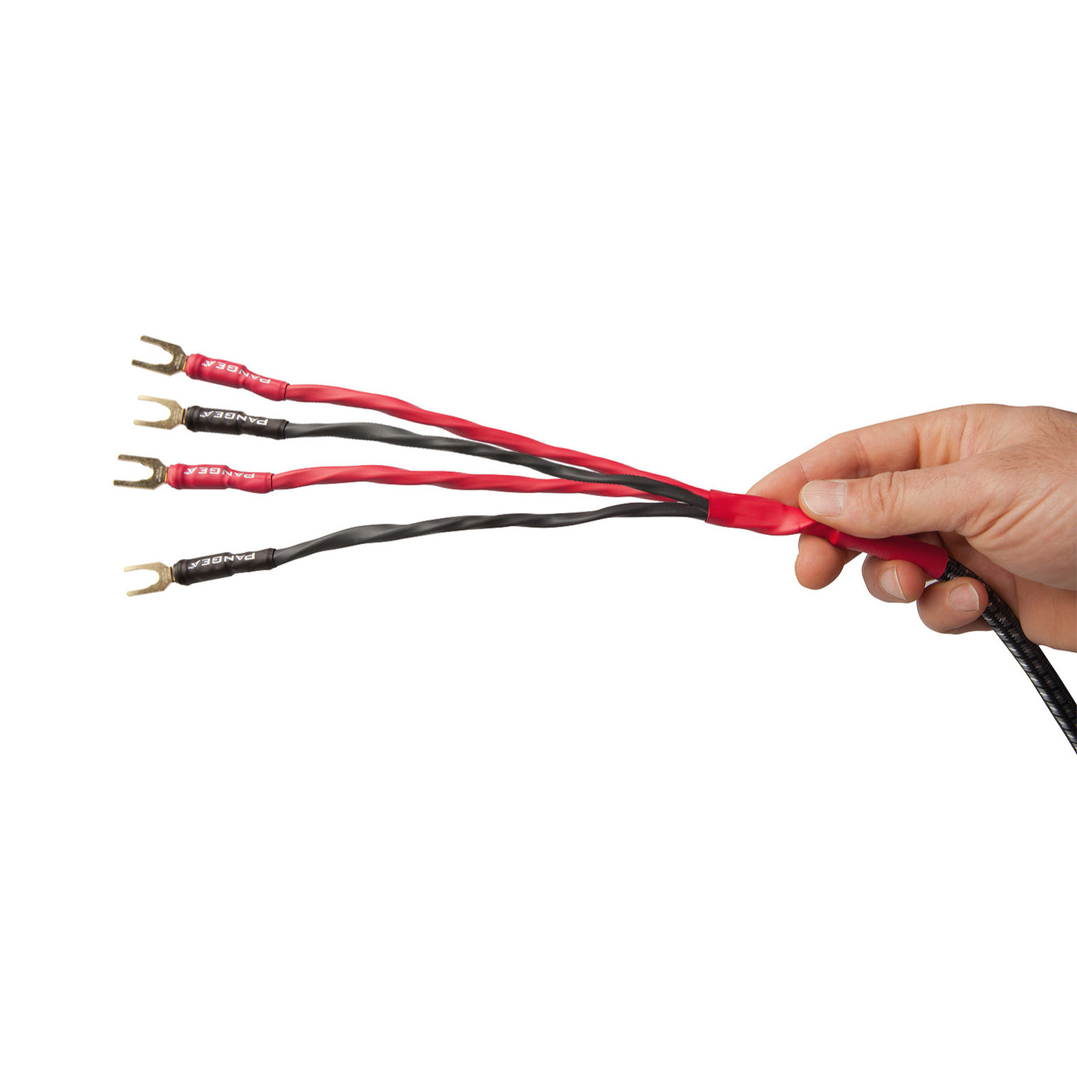 AudioQuest Type 8 Speaker Cable - PREMIUM No Frills Termination - 10 Foot Single - Bi-Wire Spades to Spades