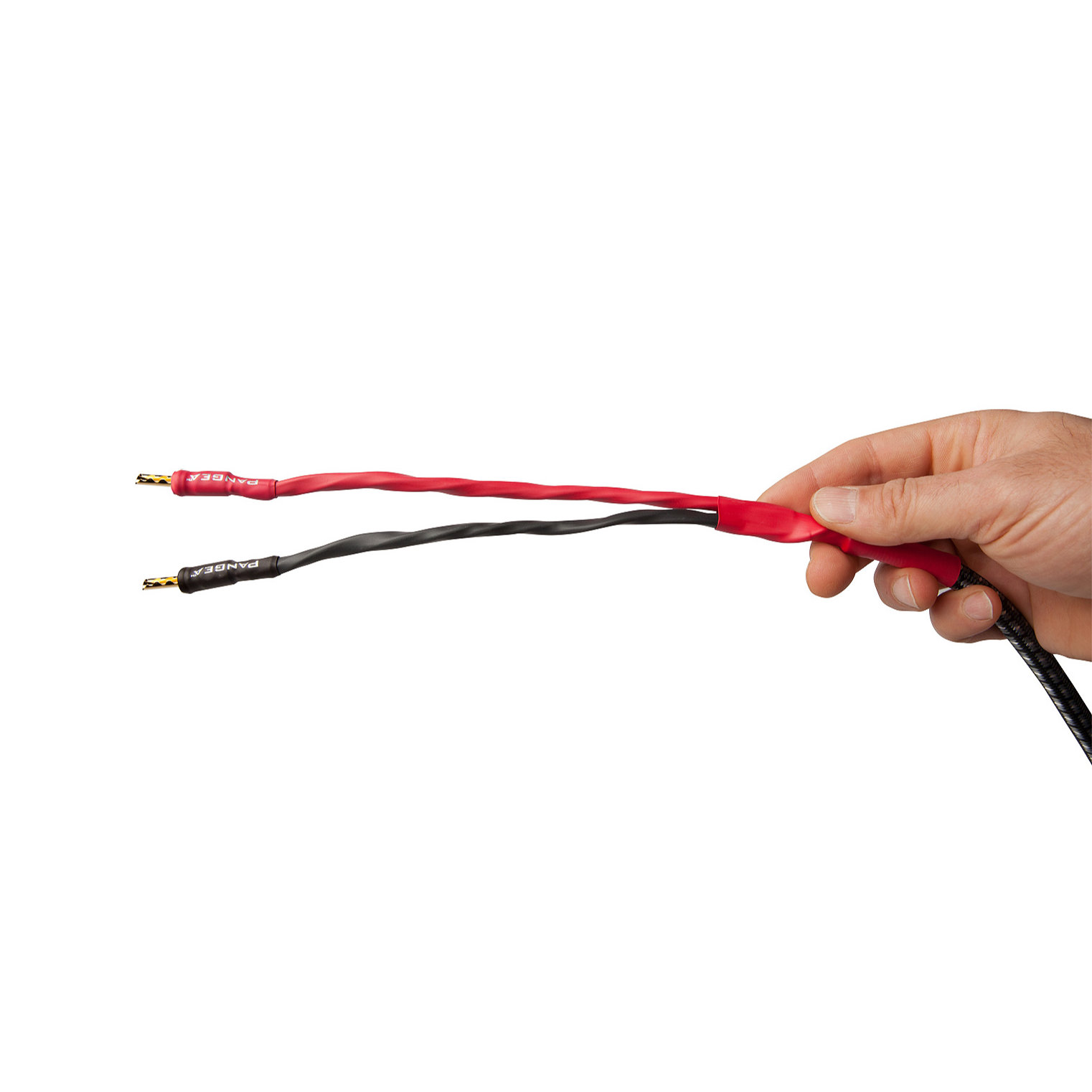 AudioQuest Type 8 Speaker Cable - PREMIUM No Frills Termination - 12 Foot Single - Bananas to Bananas