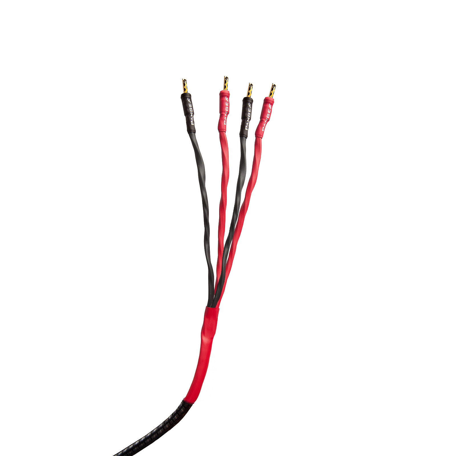 AudioQuest Type 8 Speaker Cable - PREMIUM No Frills Termination - 3 Foot Single - Bi-Wire Bananas to Bananas