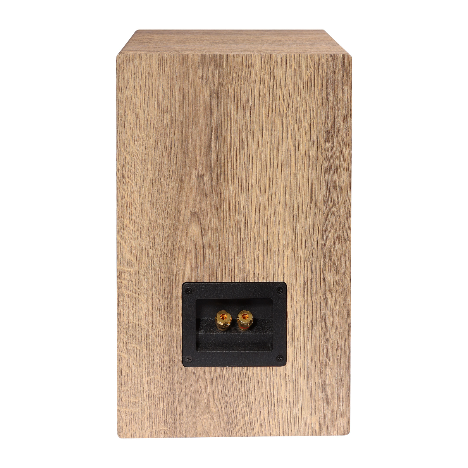 Back of ELAC DBR62 Debut 2.0 Reference Bookshelf Speakers