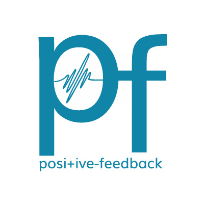 AudioQuest JitterBug FMJ USB Noise Filter