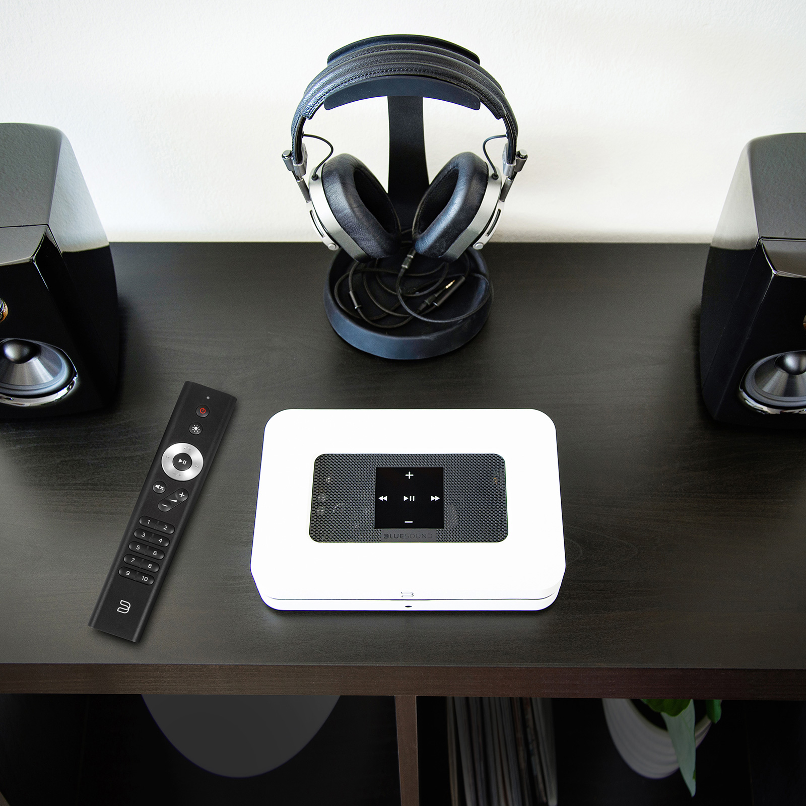 Home display of RC1 Remote in hand