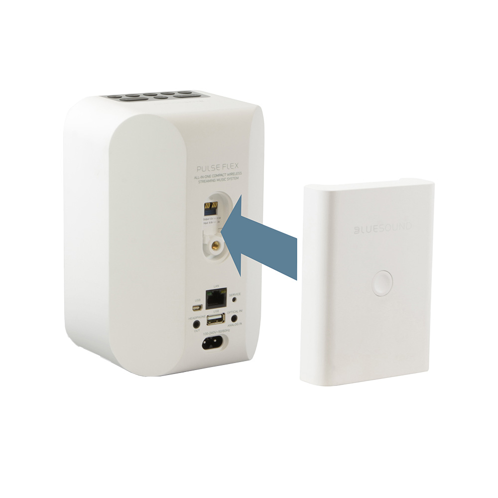 Place to connect Bluesound Battery Pack