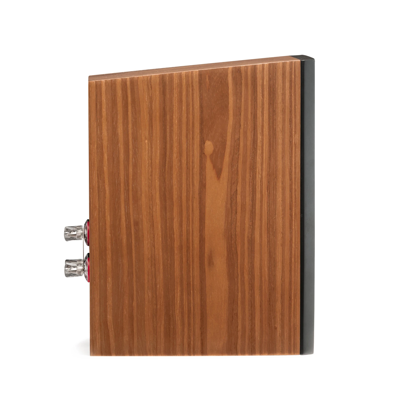 Side of MartinLogan Motion XT B100 Bookshelf Speaker