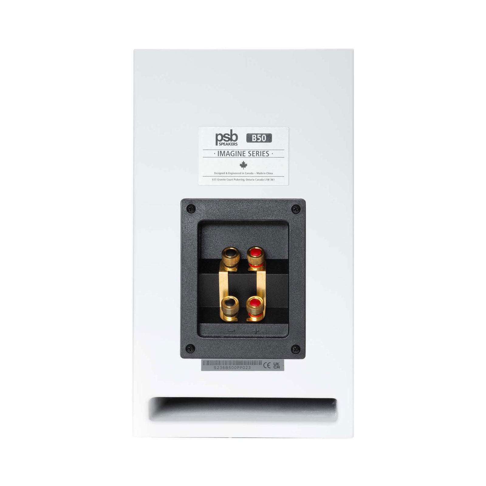 PSB Imagine B50 Bookshelf speakers in white, back panel