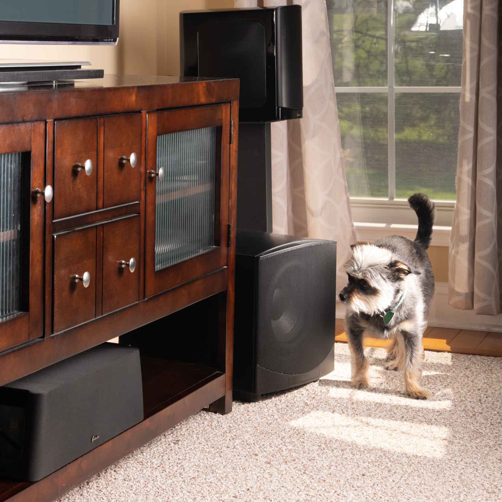 Home display of GoldenEar ForceField 40 10-Inch High-Ouput Compact Subwoofer