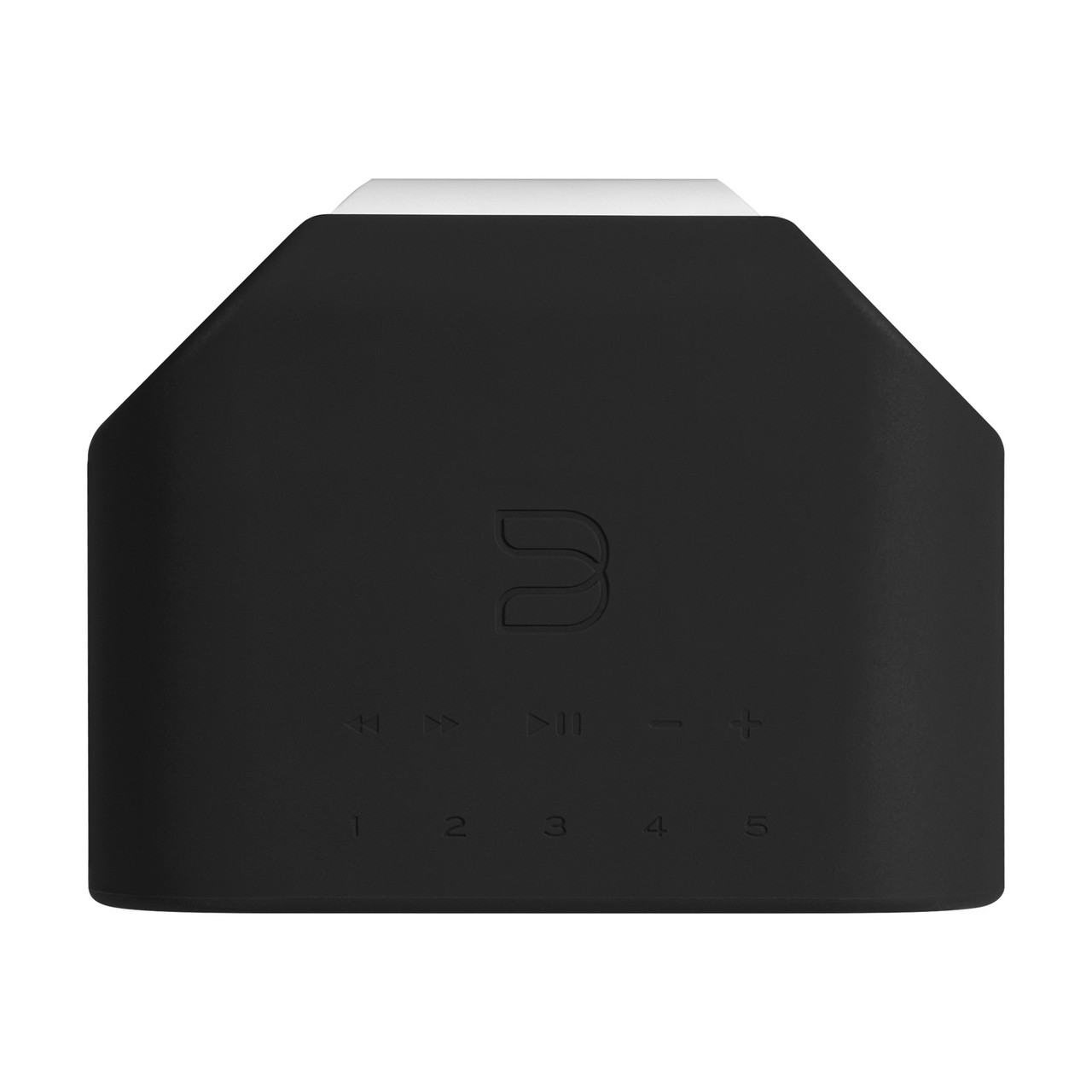 Bluesound PULSE FLEX Skin - Four Colors