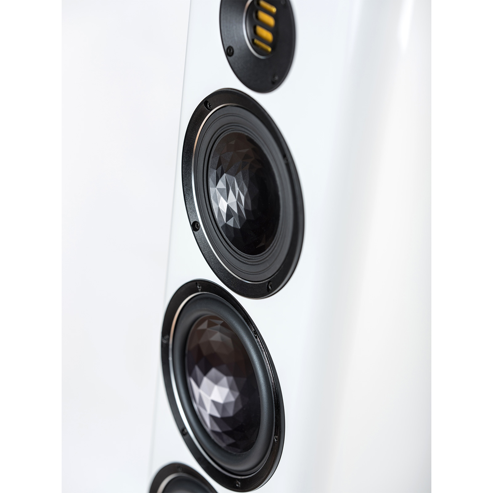 Speaker of ELAC VELA Series FS409 Floorstanding Speaker