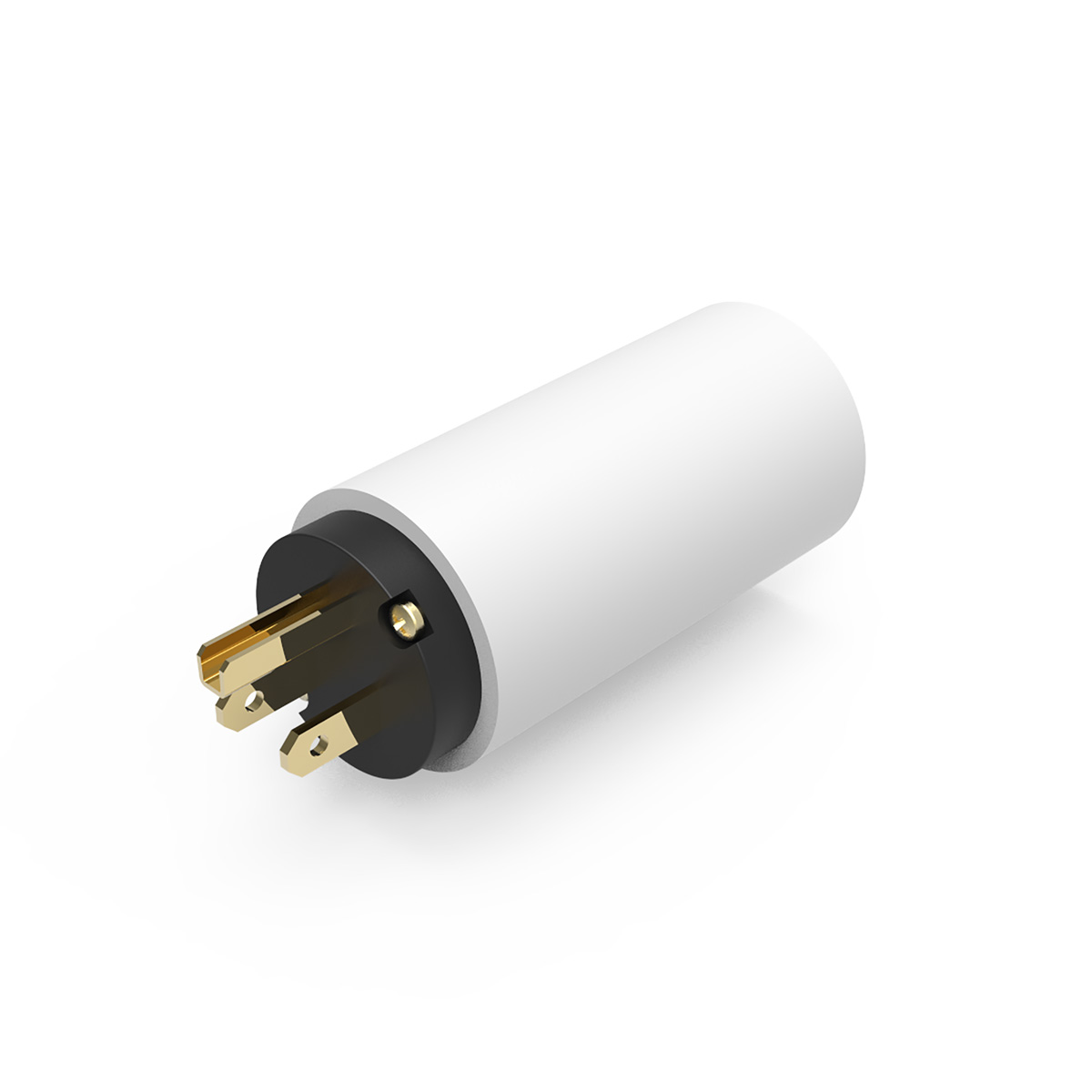 iFi AC iPurifier Power Filter