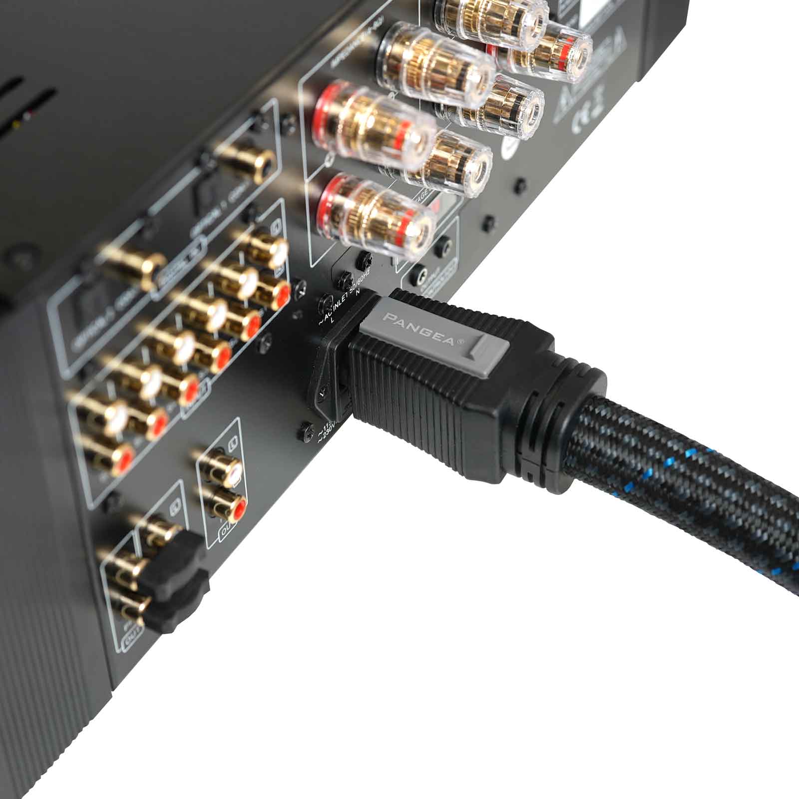 Pangea Audio AC-9 MkII power cable plugged in to device