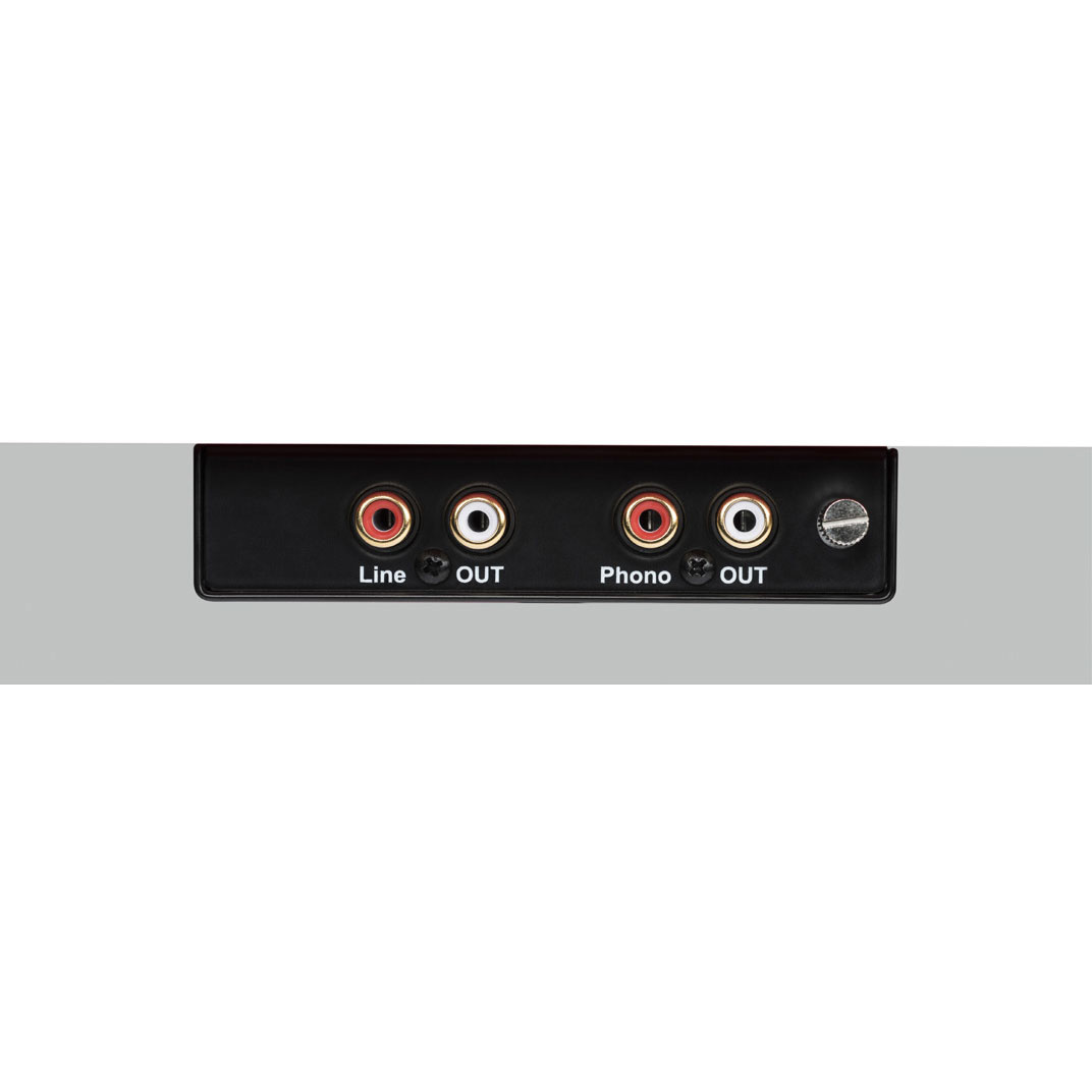 Back of Pro-Ject T1 BT Turntable with Phono