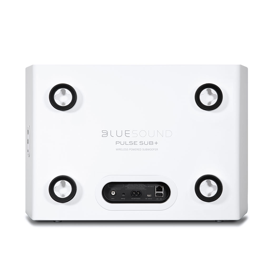Back of Bluesound PULSE SUB+ Wireless Powered Subwoofer