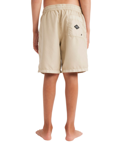 Boys 8-16 All Day Overdye Layback Boardshorts - Chino