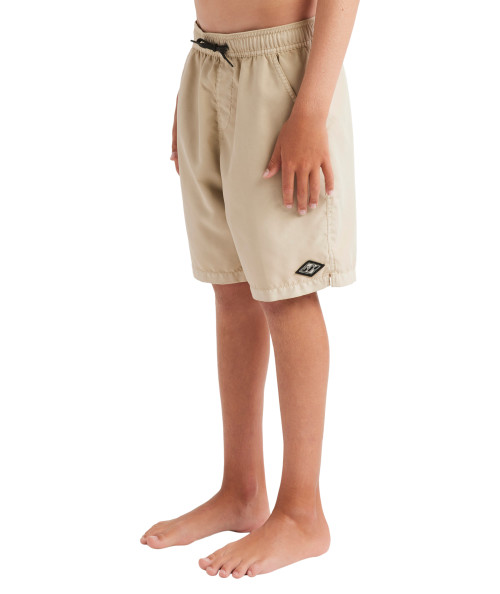 Boys 8-16 All Day Overdye Layback Boardshorts - Chino