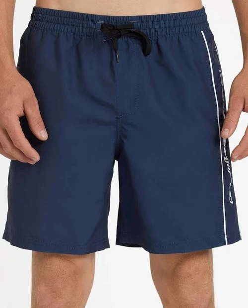 Everyday Vert 2.0 17" Volley Shorts - Indigo