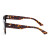 OUT OF SIGHT - ECO Havana Ray/Grey