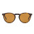 OMAR - ECO Matte Dark Tort/Brown