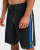 Interconnect Volley 20" Boardshorts