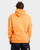 Spec Bio Arch Pullover Hoodie - Dusty Orange