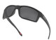 Gibston - Matte Black/Prizm Black Polarized