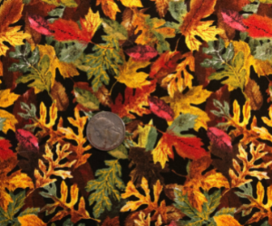 fall-leaves-300x250.png