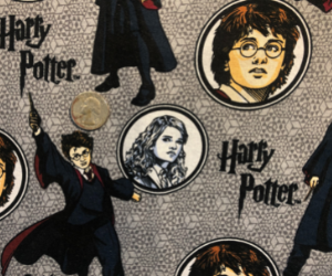 hp-characters-2.jpg-300x250.png