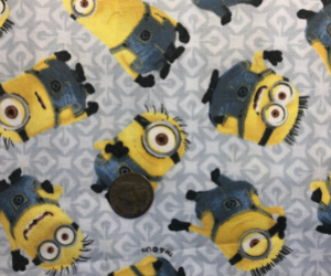 minions-300x250.png