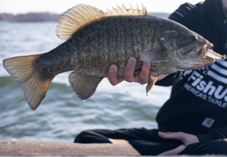 Bass