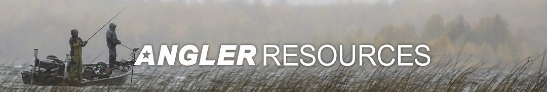 Full Width Banner
