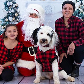 Portuguese Water Dog