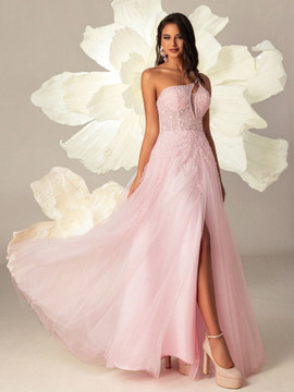 Sleeping Beauty Gown - Light Pink