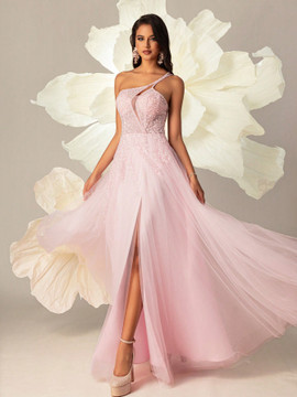 Sleeping Beauty Gown - Light Pink