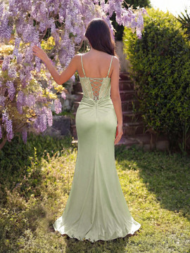 Claudia Gown - Pastel Green