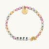 Hope-Rainbow