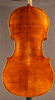 Princeton Violins Virtuoso Outfit