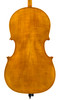 Cello, Snow Per Caso, Montagnana Model. Back view.