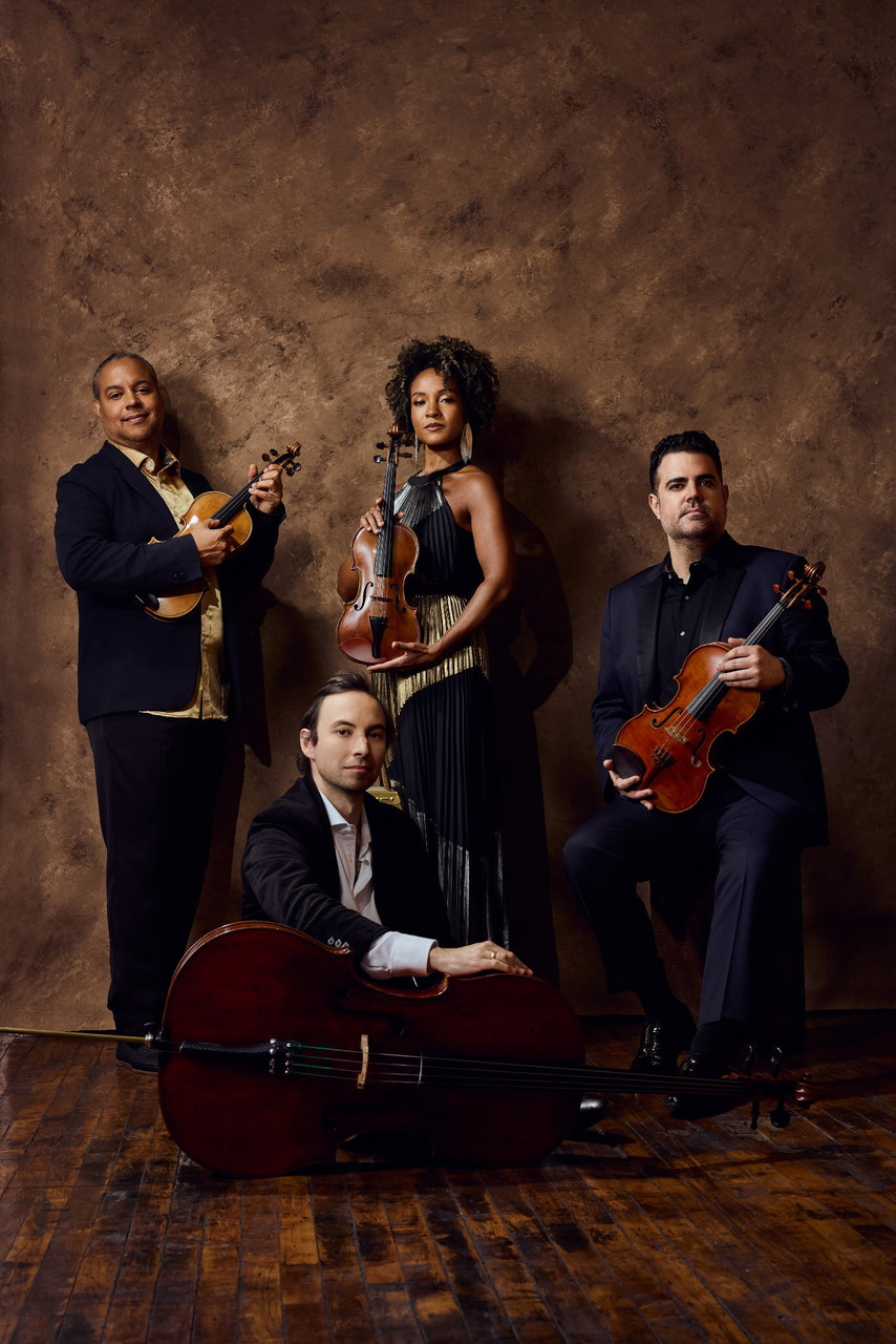 Ilmar Gavilán, Violinist/ Violist