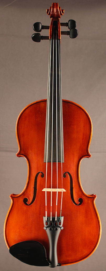 Violin Prodigy Outfit 4/4 - Princeton Violins
