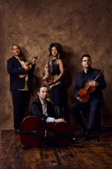 Ilmar Gavilán, Violinist/ Violist