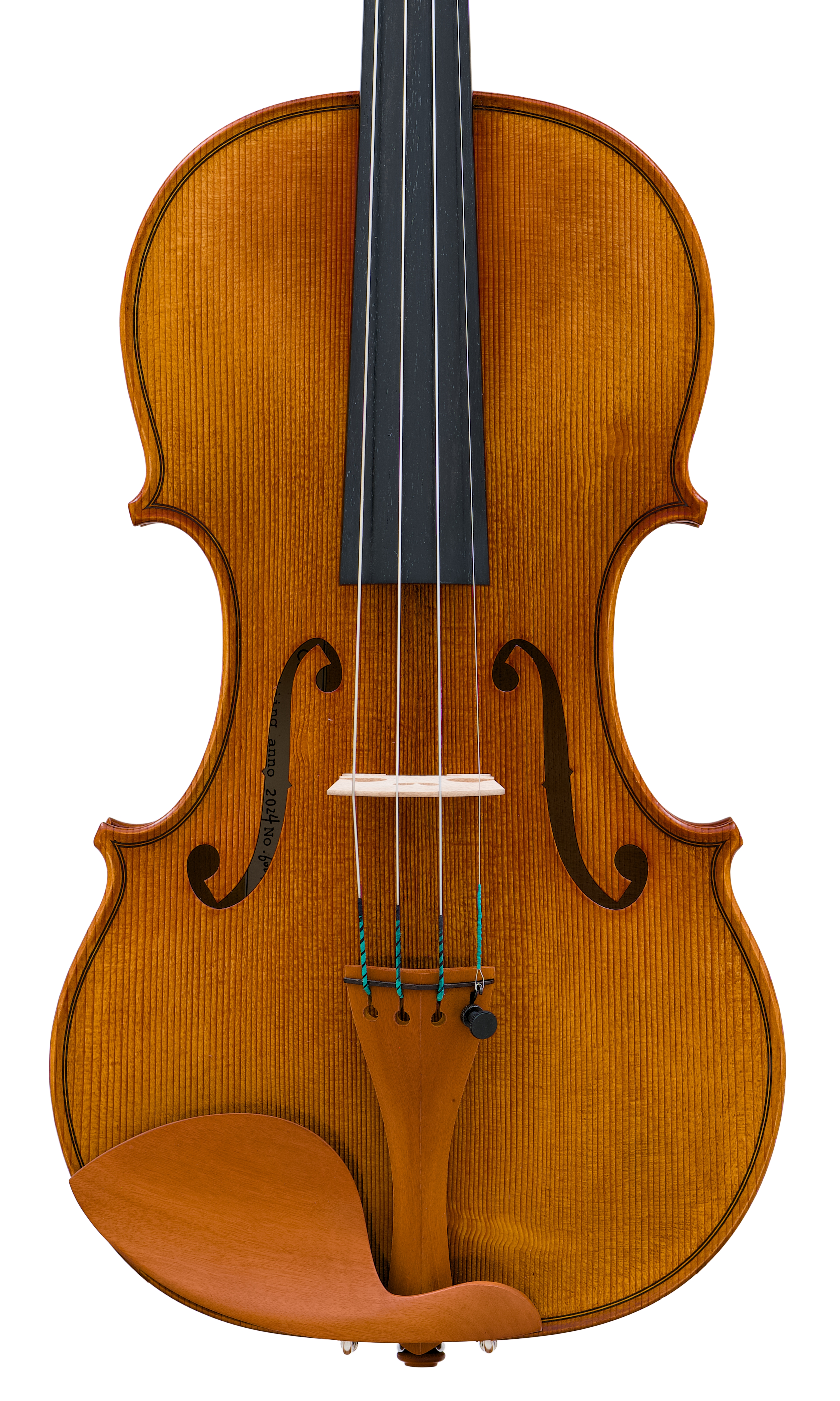 Snow Advance Per Caso Violin (HV600) | Princeton Violins