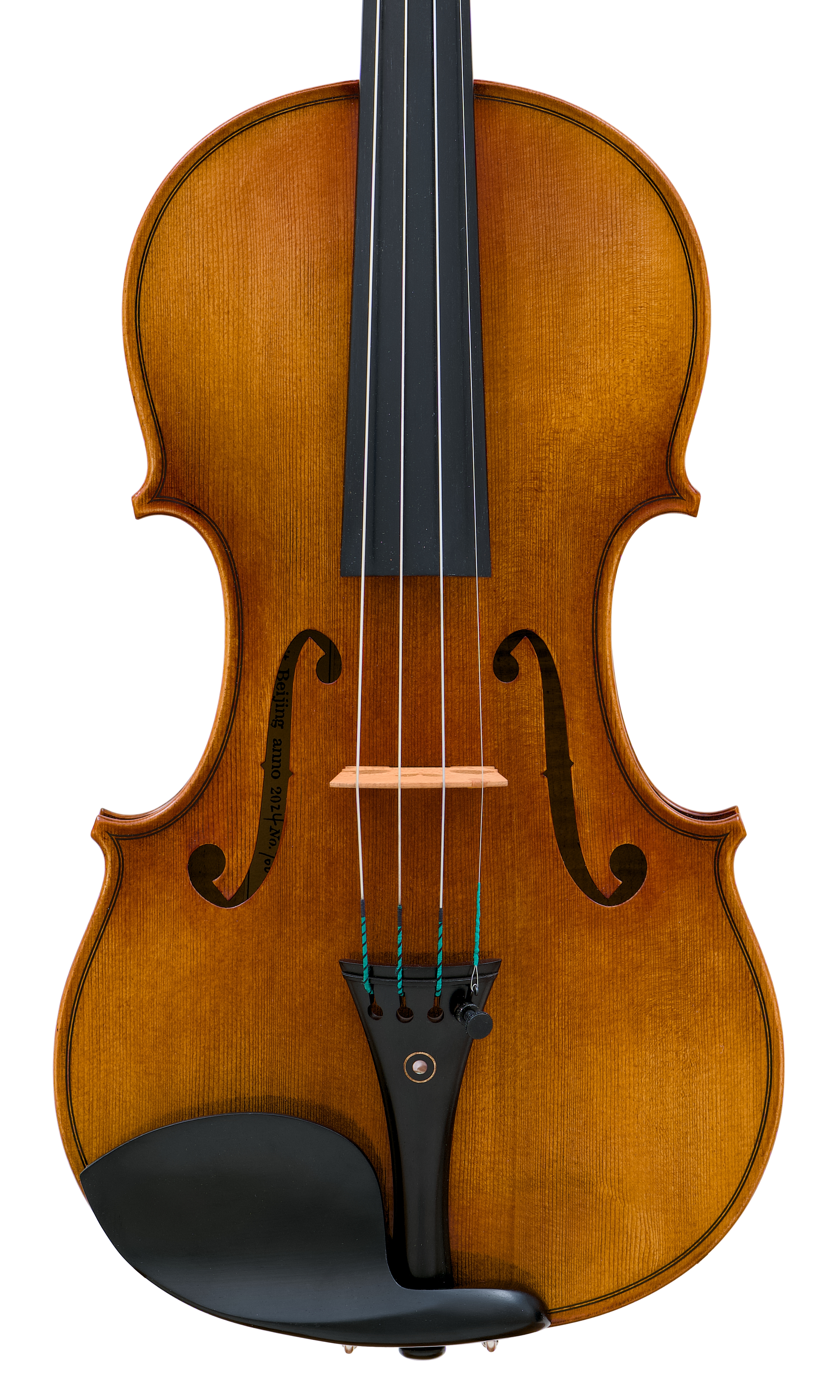 Snow Advance PV900-V Violin | Princeton Violins