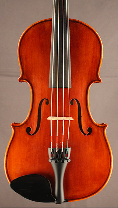 Violin Prodigy Outfit 4/4 - Princeton Violins